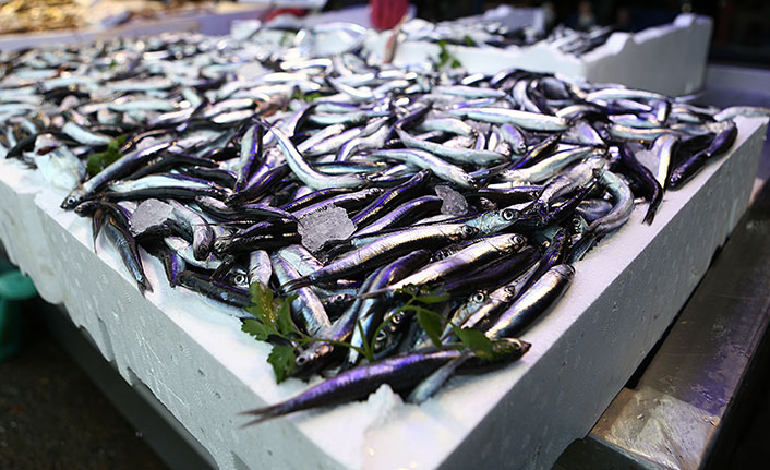 Trabzon'da hamsinin kilogramı 20-35 TL