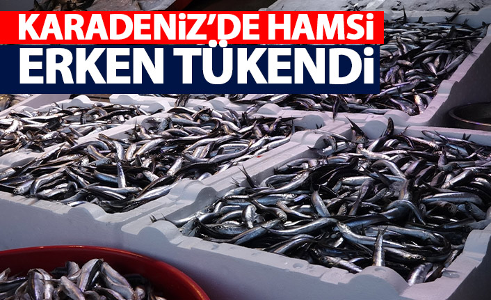 Karadeniz'de bu yıl hamsi erken tükendi