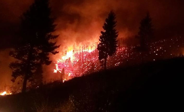 Trabzon'da örtü ve orman yangını uyarısı