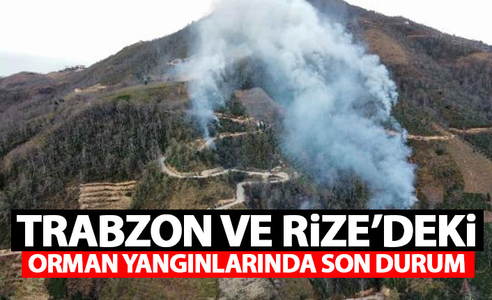 Trabzon ve Rize'deki orman yangınlarında son durum