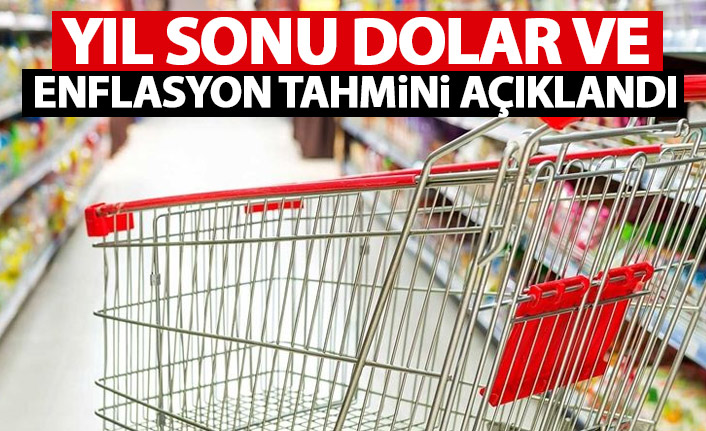 Merkez bankası yıl sonu dolar ve enflasyon tahminini yükseltti