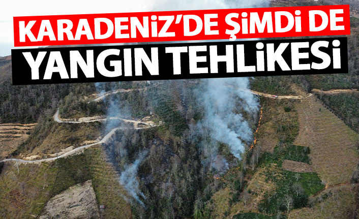 Karadeniz'de şimdi de yangın tehlikesi