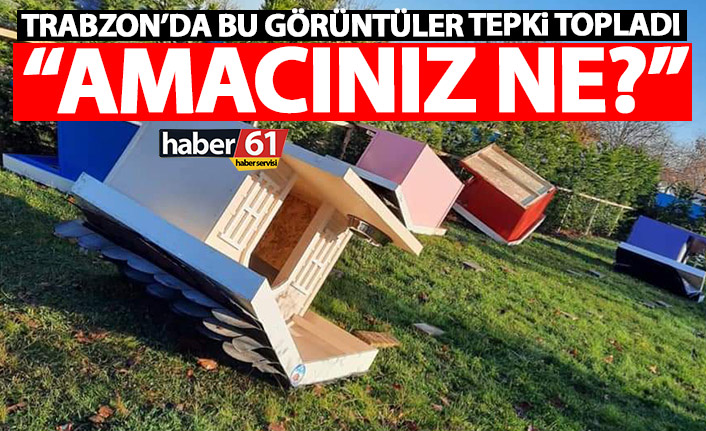 Trabzon’da barınaktaki kulübelere yapılanlar tepki çekti