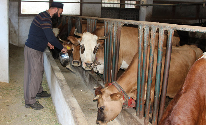 Genç çiftçi projesiyle hayvancılığa başladı, şimdi taleplere yetişemiyor