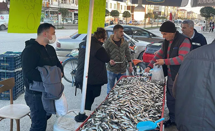 Hamsinin tahtını istavrit aldı