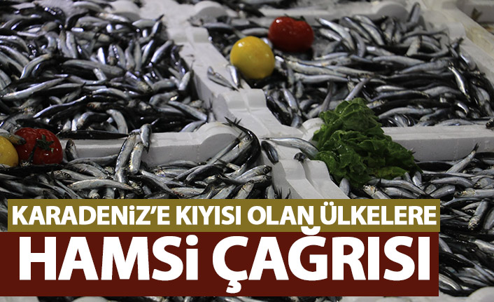 Karadeniz'e kıyısı olan ülkelere hamsi çağrısı