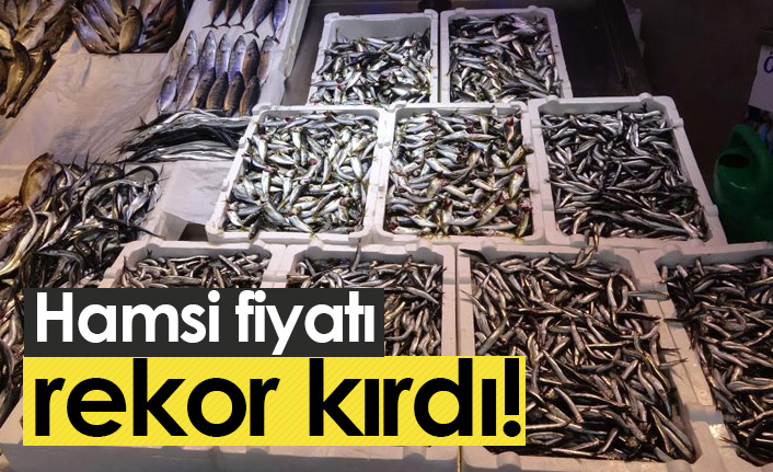 Hamsi fiyatı rekor kırdı!