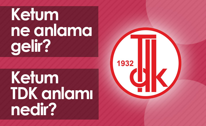 Ketum Ne Demek? Ketum TDK Anlamı Ne?