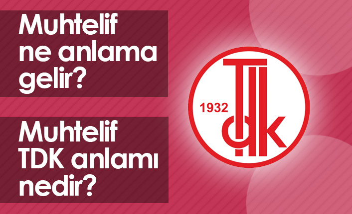 Muhtelif Ne Demek? Muhtelif TDK Anlamı Ne?
