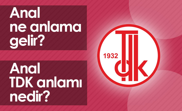 TDK Anlamı Nedir?