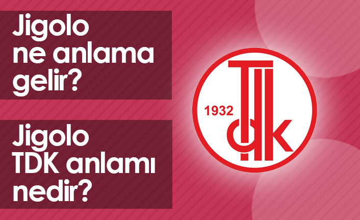 Jigolo Ne Demektir? Jigolo TDK Anlamı Nedir?