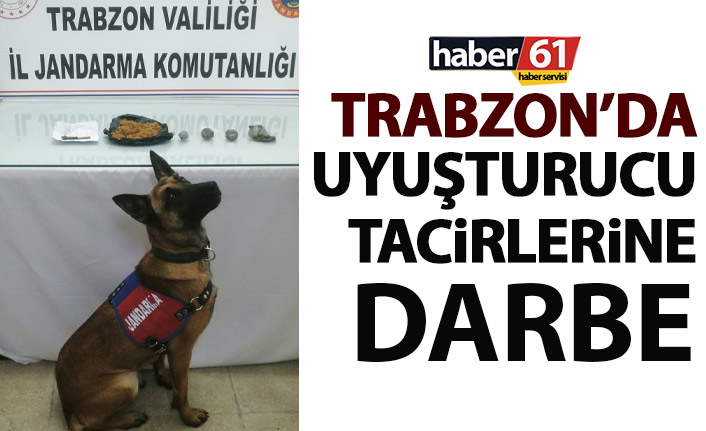 Trabzon’da jandarmadan uyuşturucu tacirlerine darbe