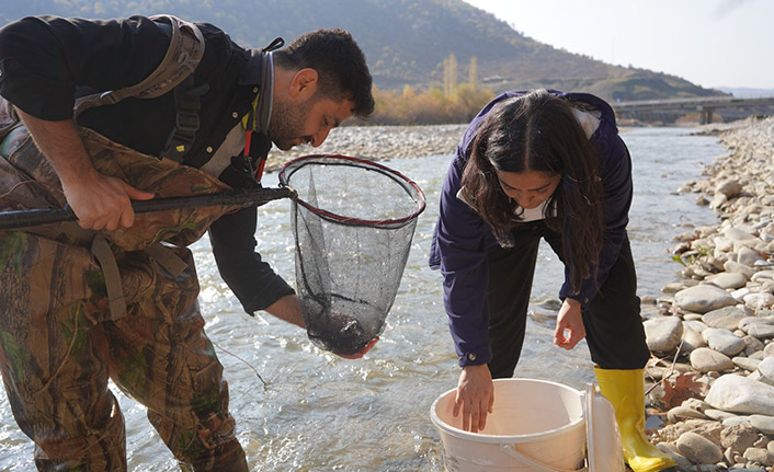 Yarım asırdır görülmeyen balık türü Batman’da görüldü