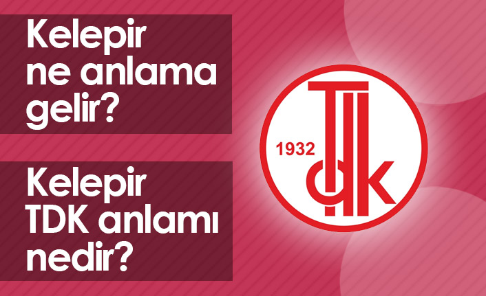 Kelepir Ne Demektir? Kelepir TDK Anlamı Nedir?