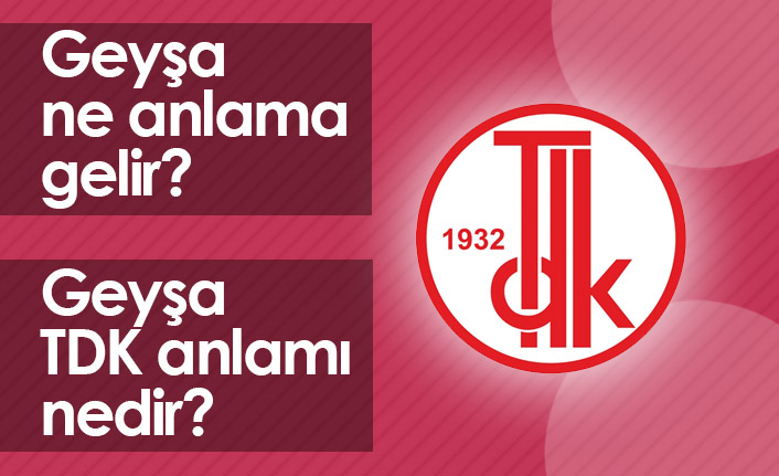 Geyşa Ne Demektir? Geyşa TDK Anlamı Nedir?