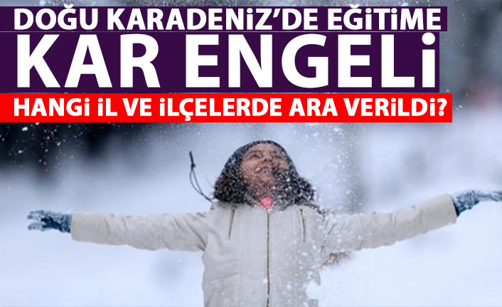Doğu Karadeniz'de okullara kar tatili! Hangi ilde kaç gün tatil