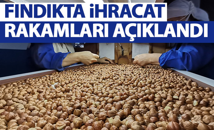 Fındıkta ilk çeyrekte 140 bin ton ihracat