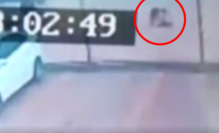 Gaziantep'te Pitbull cinsi köpek minik Asiye’ye saldırdı.