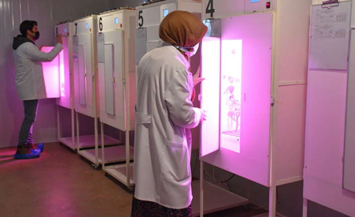 Amerika'da gördü Trabzon'da yaptı