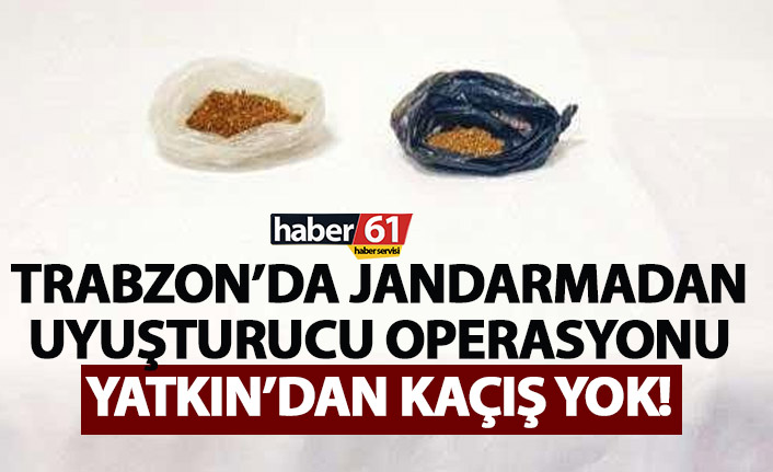 Trabzon’da Jandarmadan uyuşturucu operasyonu - 29 Aralık 2021