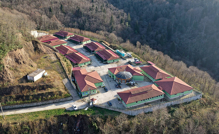 Trabzon'da sokak hayvanları için yaşam alanı