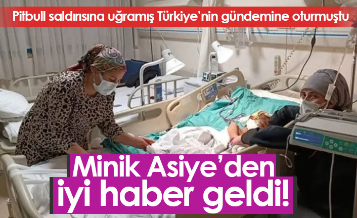 Pitbull saldırısına uğrayan Asiye'den güzel haber