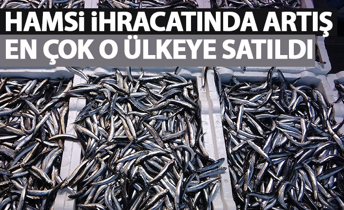 Hamsi ihracatında artış yaşandı