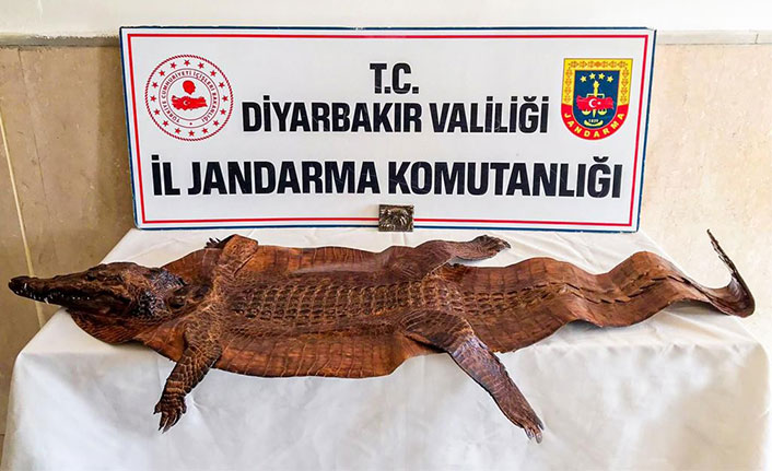 Diyarbakır’da milyon dolarlık tarihi eser operasyonu