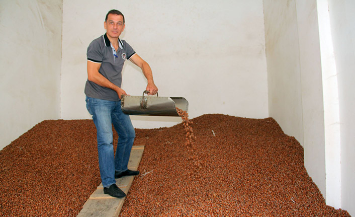 Fındık fiyatı ne kadar? Yılın son gününde geriledi