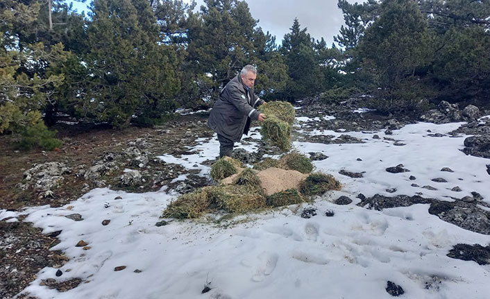 Ağır kış şartlarında doğadaki canlılar unutulmadı