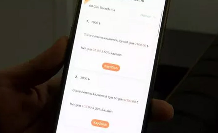 Online saadet zinciri ile 100 milyon liralık vurgun