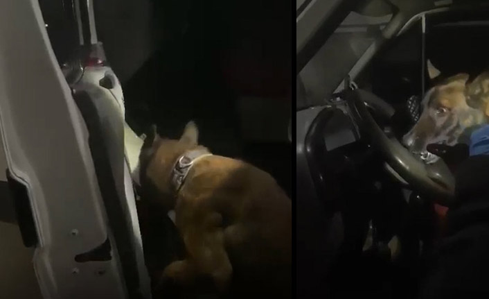 Trabzon’da uyuşturucu operasyonu! Araçtan bakın neler çıktı