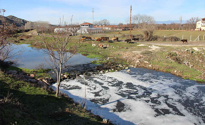 Türkiye'nin tersine akan tek akarsuyu olan 'Tersakan Çayı' kirlilikten köpürdü