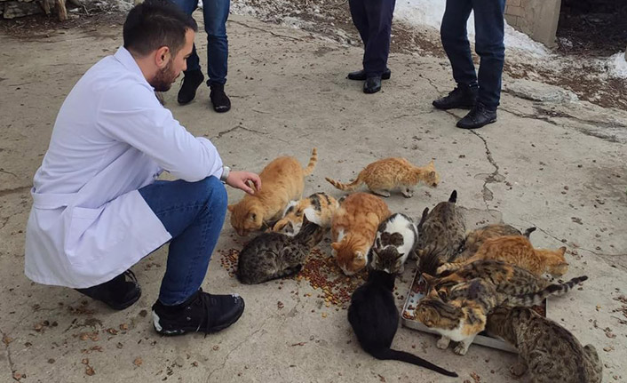 Trabzon'dan Batman'a kedi maması