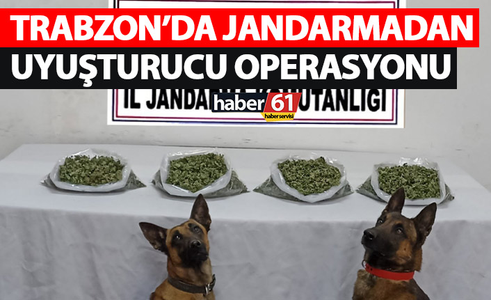 Jandarma Trabzon’da uyuşturucuya geçit vermedi!