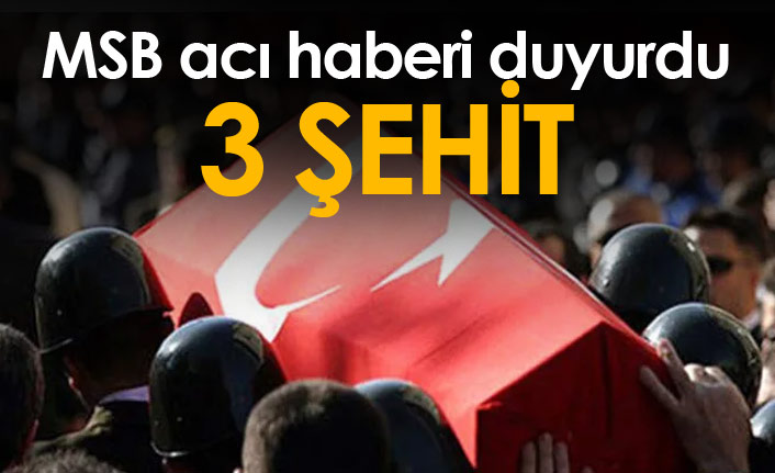 Şanlıurfa sınırında patlama! 3 şehit