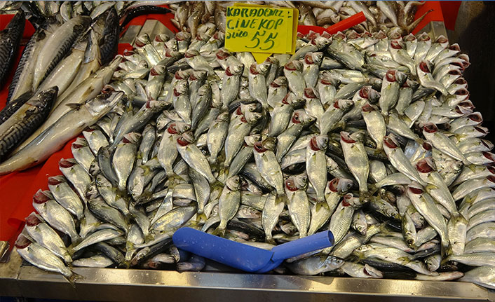 Mevsimin en lezzetli balığı istavrit oldu