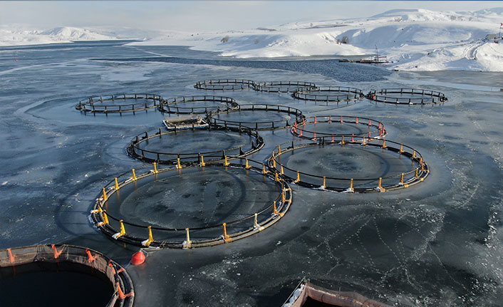 Sibirya değil Sivas