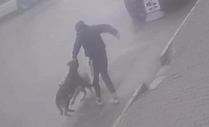 Köpeğine saldıran sokak köpeğini bıçakladı!