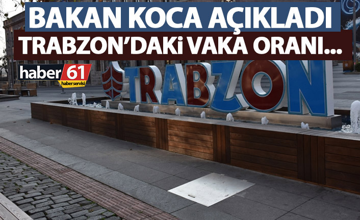 Trabzon’da vaka oranı yükseldi! 100 binde 299,30’a ulaştı