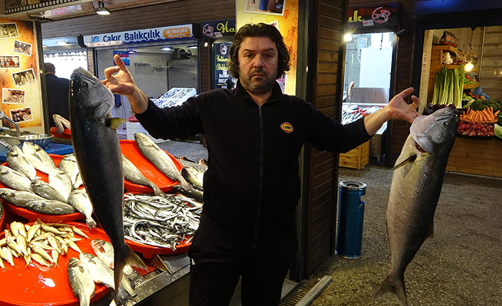 Hamsi yok ama balık halinin kralı çifte kofanalar oldu