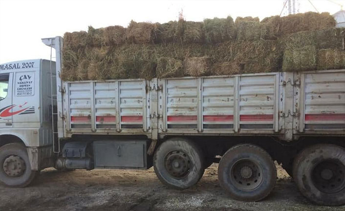 Yaban hayvanlar kış aylarında unutulmadı