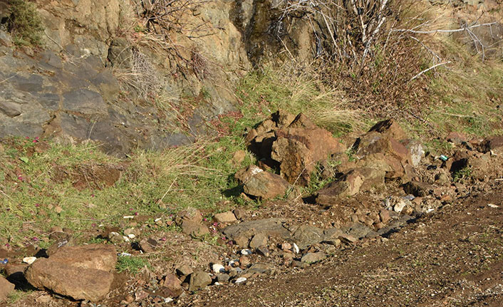 Sinop'ta hane sahipleri tedirgin