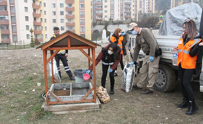Kastamonu’da sokak hayvanları unutulmadı