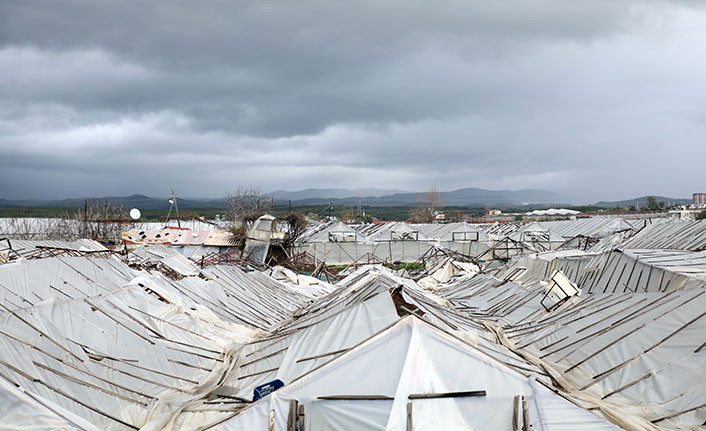 Fırtına, Alanya'da seraları yerle bir etti