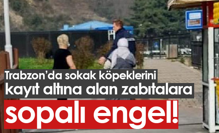 Trabzon'da sokak köpeklerini kayıt altına alan zabıtalara sopayla engel oldu