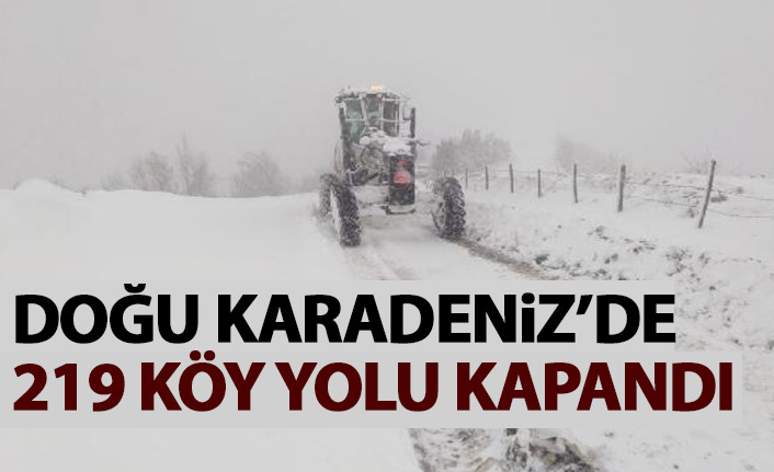 Doğu Karadeniz'de 219 köy yolu kardan kapandı