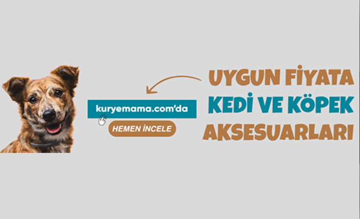 Günlük online shops pet köpek kedi sağlık ürünleri aksesuarları tek adresi Kurye Mama