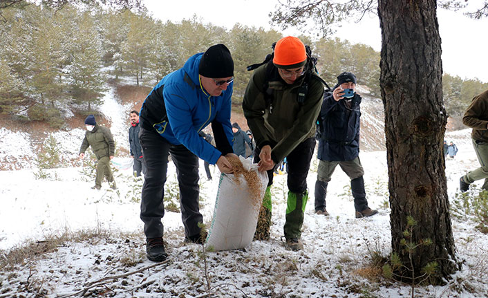 Sivas'ta yaban hayvanları unutulmadı