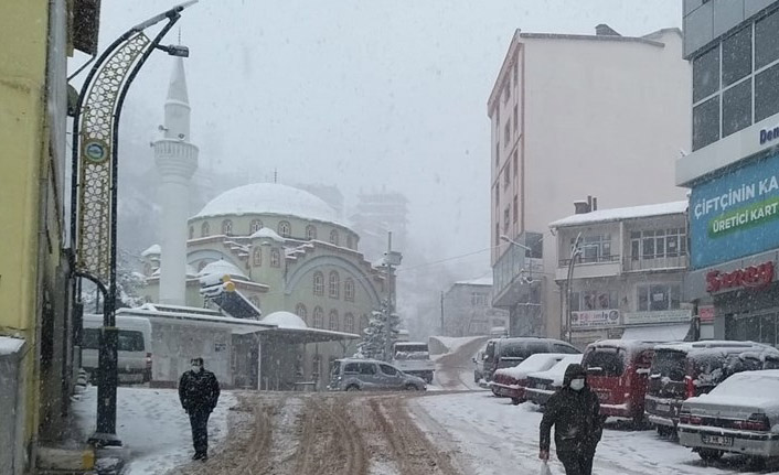 Karadeniz'de kar hayatı olumsuz etkiledi
